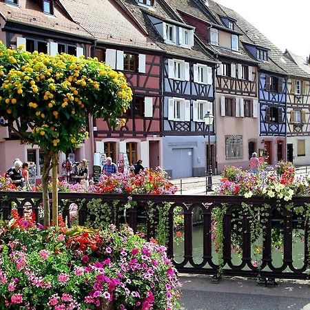 Colmar,Appart Chaleureux 2 Pas Centre Avec Jardin Esterno foto