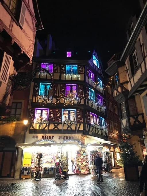 Colmar,Appart Chaleureux 2 Pas Centre Avec Jardin Esterno foto